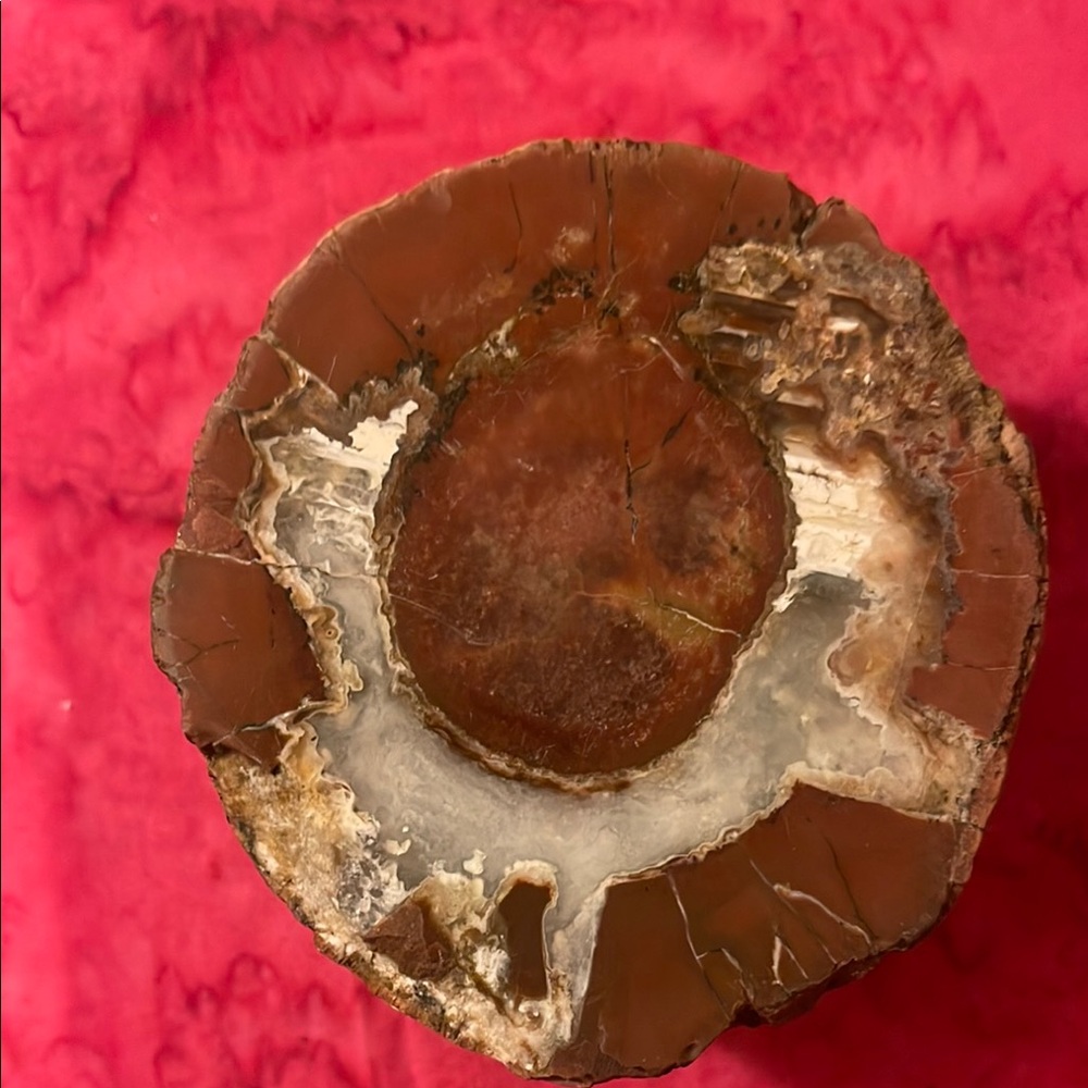 Brown and White Geode Slice